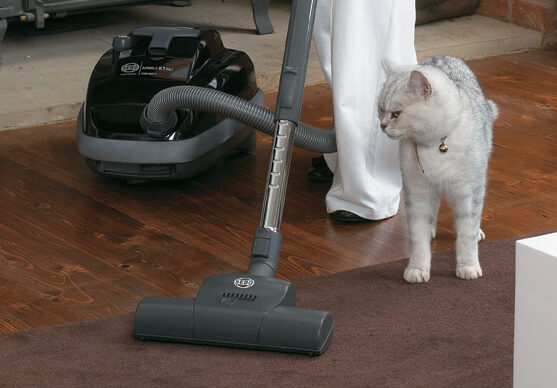 Click N' Clean