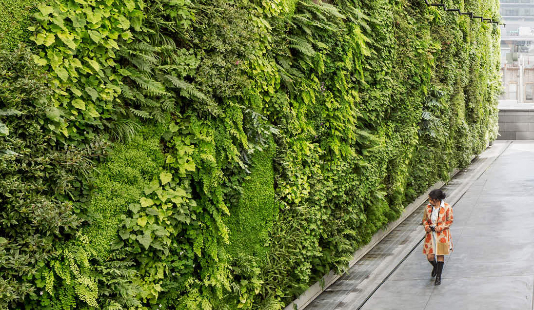 Transforming Spaces with Vertical Green Wall Systems Benefits, Installation, and Maintenance